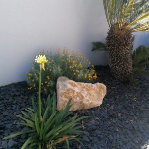 Création de jardin